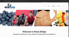 Desktop Screenshot of nutrabridge.com